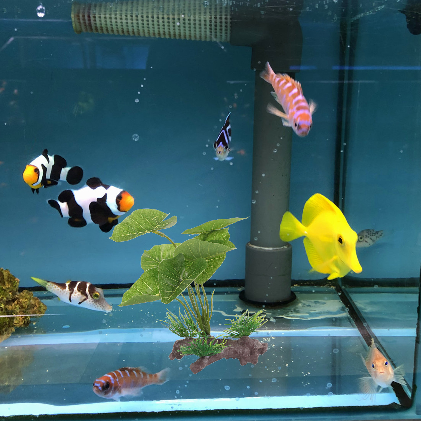 Planted Aquarium Care - Lifelike Plastic Aquarium Plants for Betta