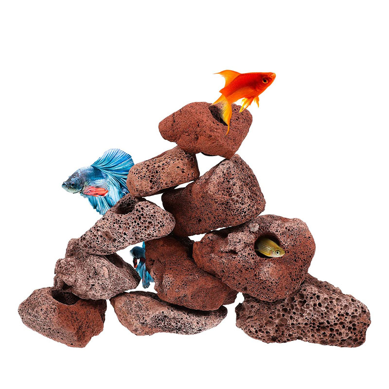 Planted Aquarium With Rocks - Open Hole Rock Fish Shrimp Shelter