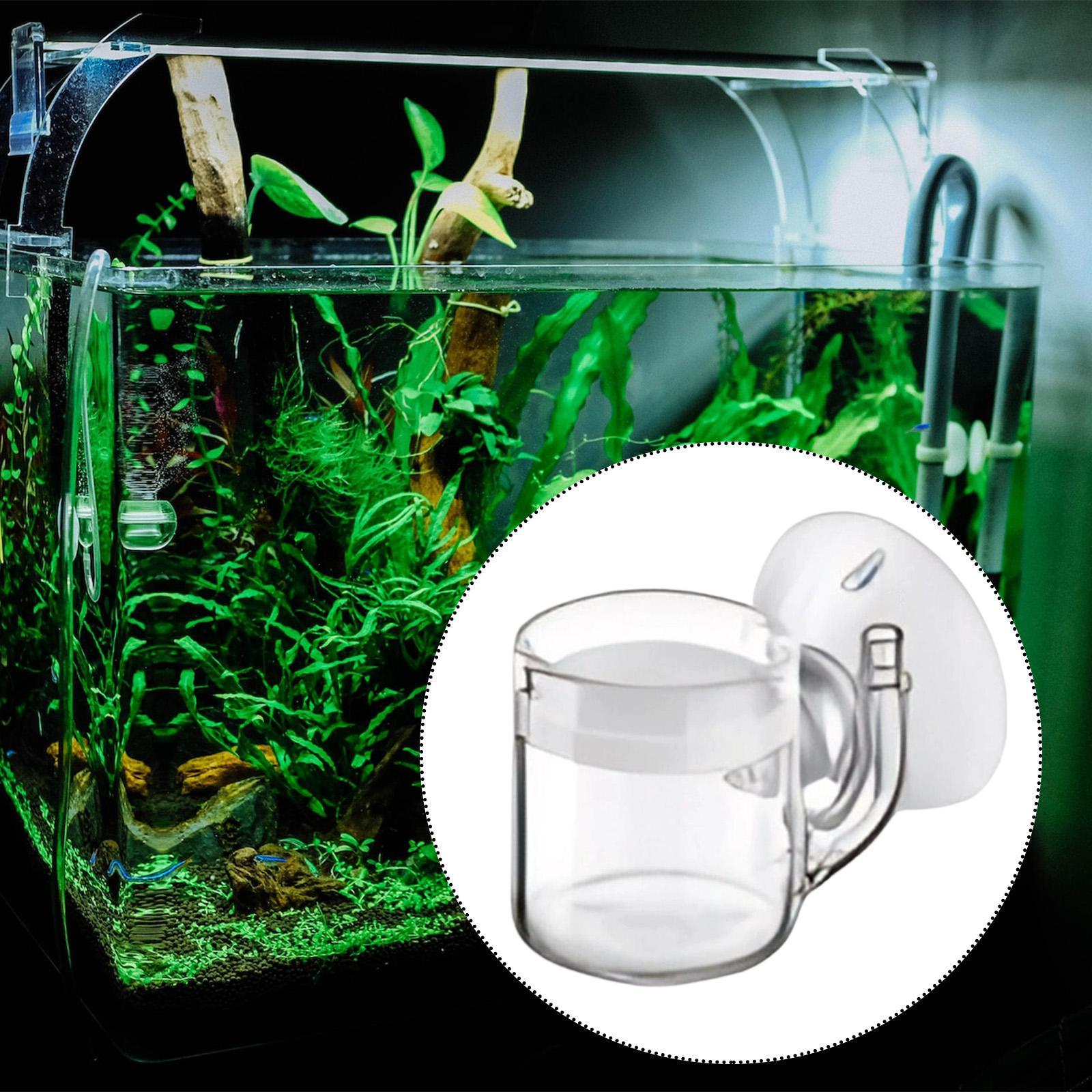 Planted Aquarium Care - Aquarium Diffuser Glass CO2 Atomizer Efficient