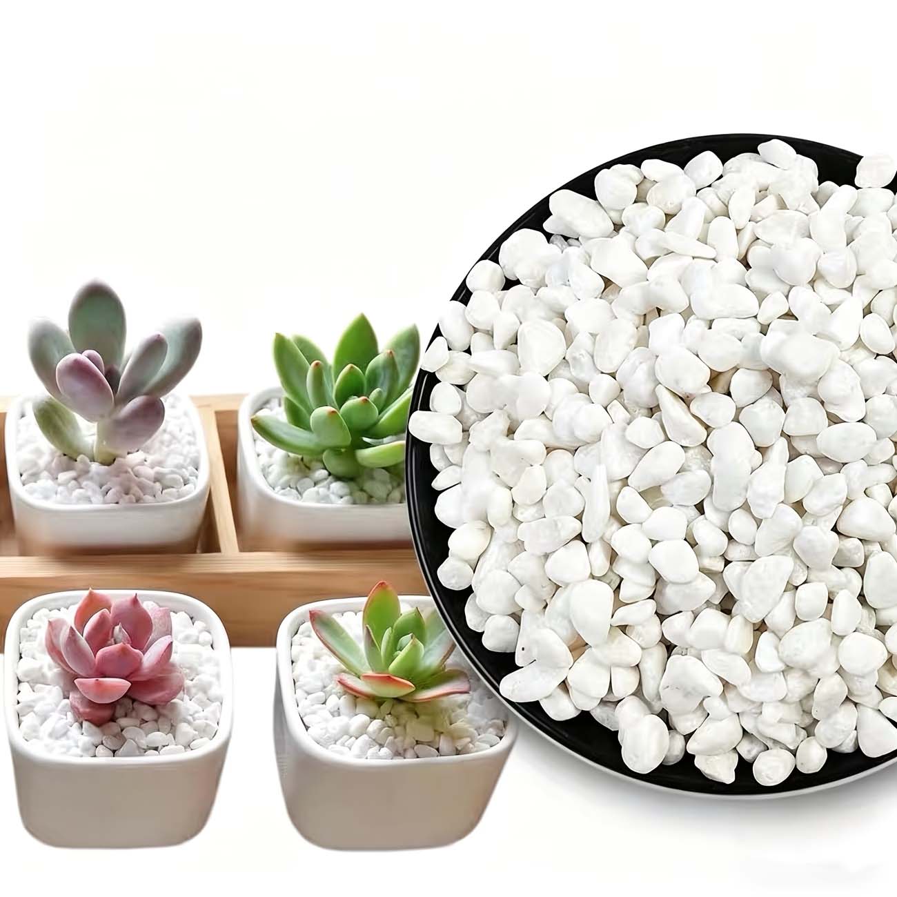 Aquarium Sand White - 100/200G White Decorative Stones-Perfect for Aquariums,