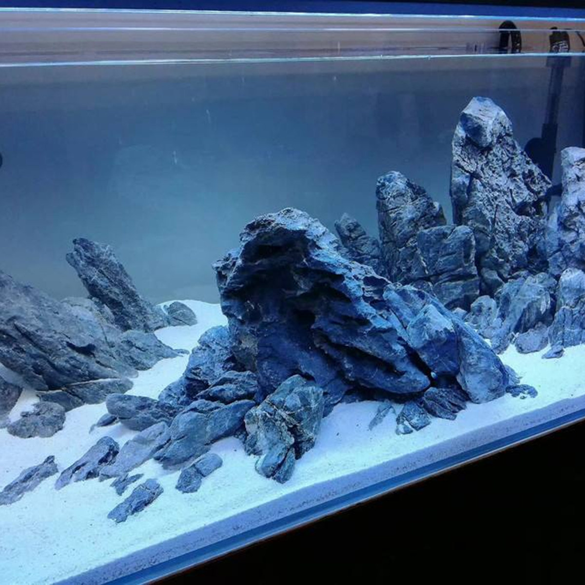 500G White Beauty Quartz Sand  - Aquarium Sand White review and price