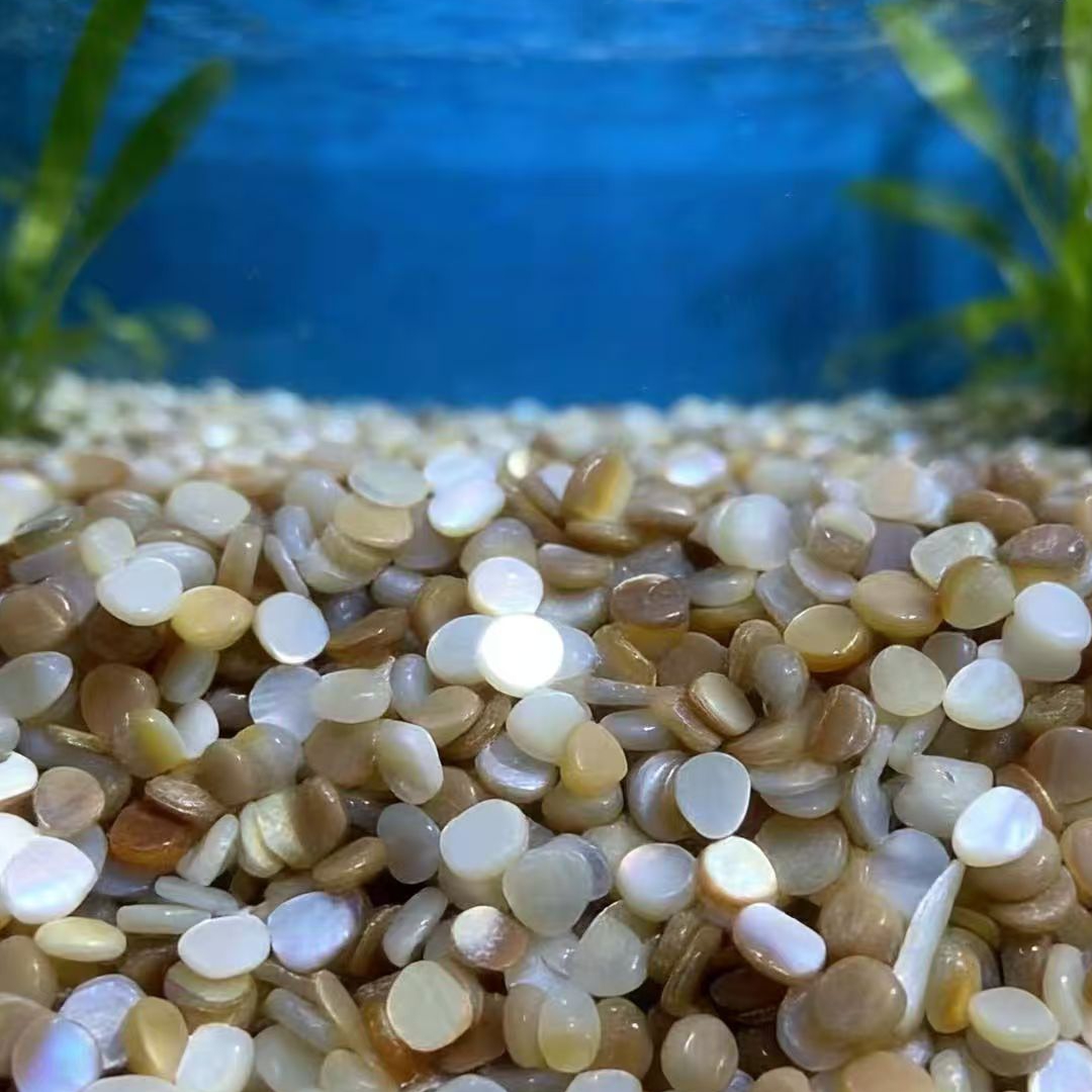 50pcs 4-7mm Not Drilled Natura - Aquarium Sand White review and price