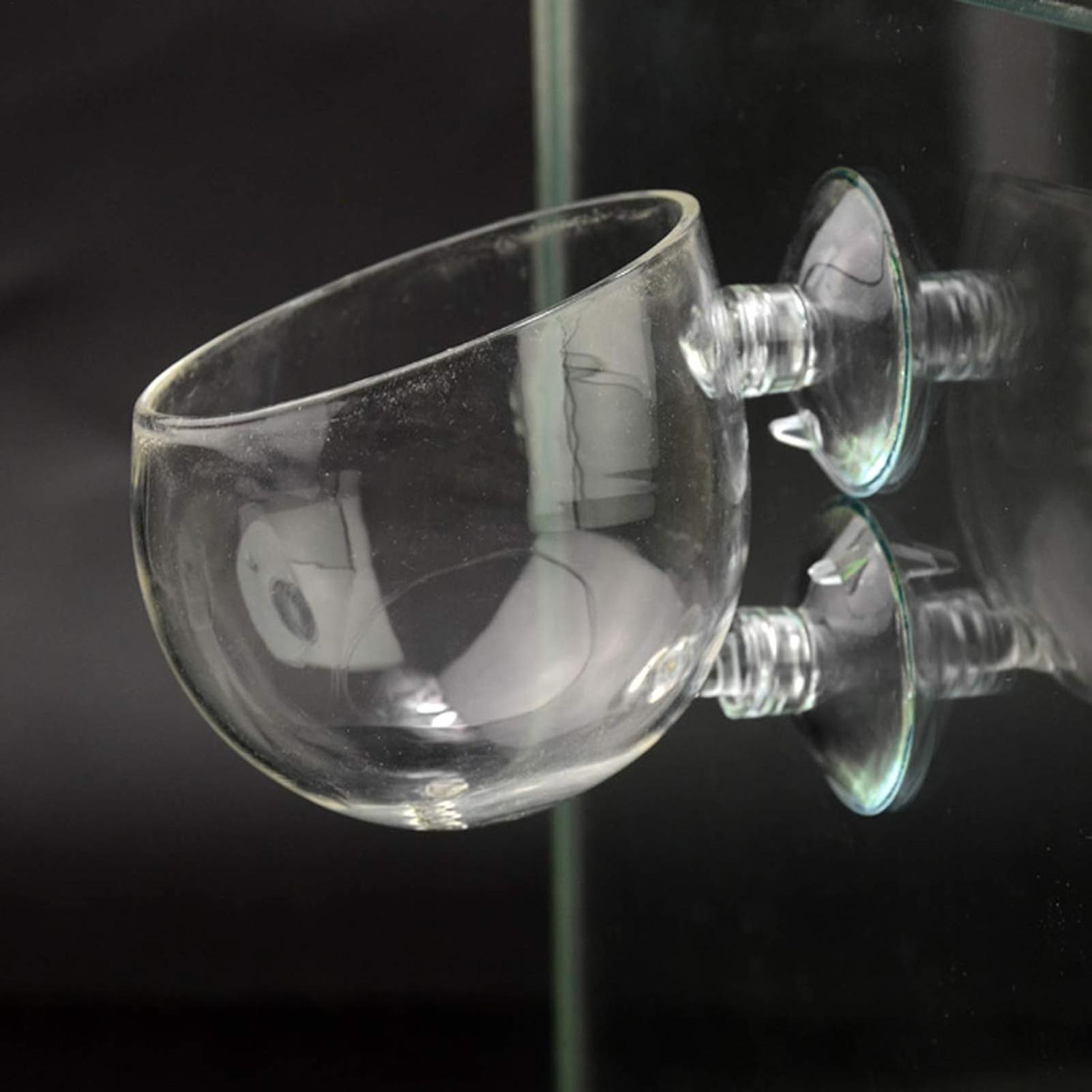 Aquarium Glass Plant Pot with  - Aquarium Plant Gel review and price