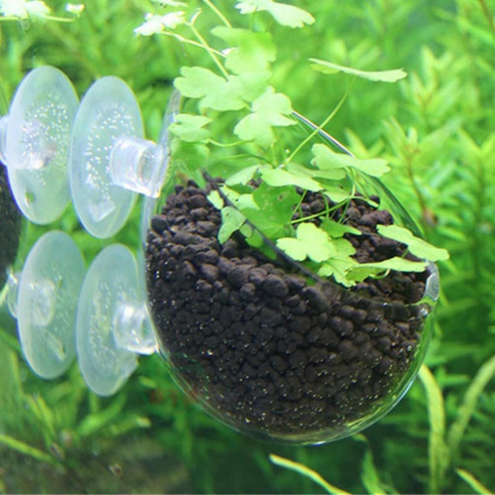 Aquarium Glass Plant Pot with  - Aquarium Plant Gel review and price