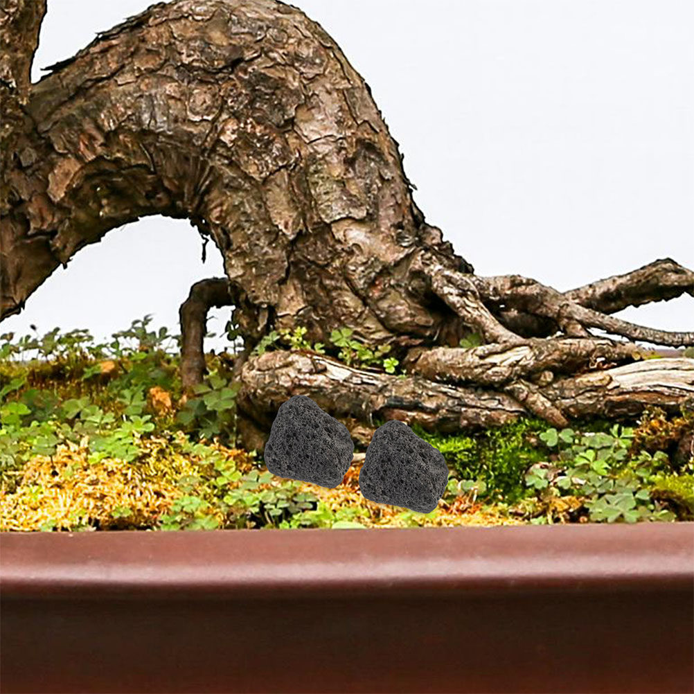 Fish Tank Volcanic Rocks Natur - Planted Aquarium With Rocks review and price