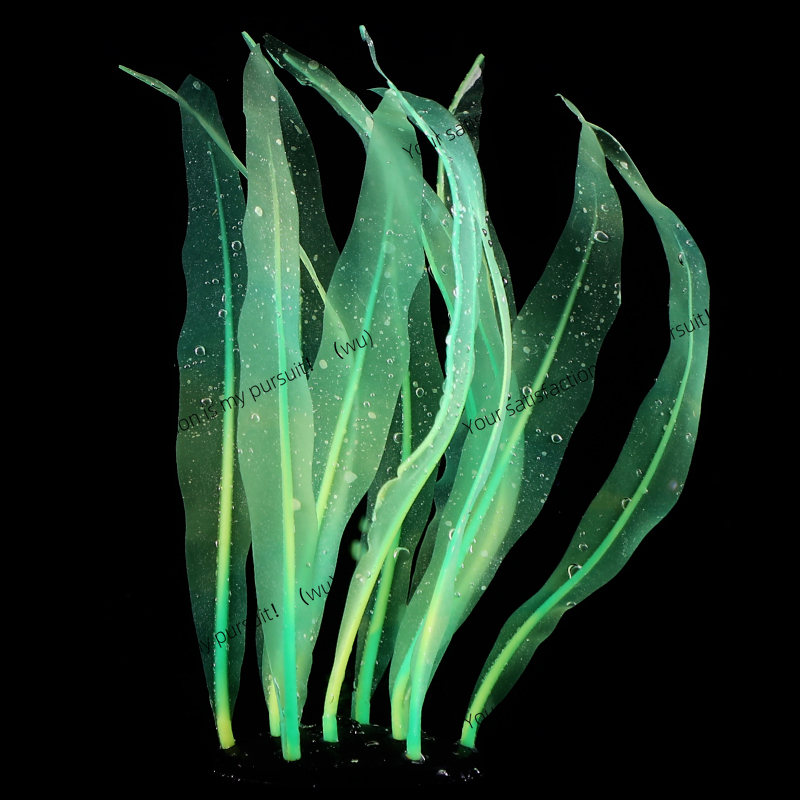 Simulated Kelp Plant Decoratio - Aquarium Plant Gel review and price