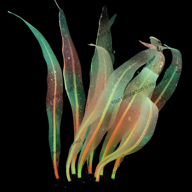 Simulated Kelp Plant Decoratio - Aquarium Plant Gel review and price