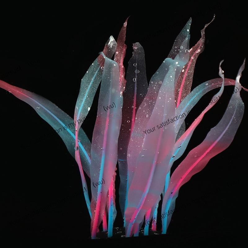 Simulated Kelp Plant Decoratio - Aquarium Plant Gel review and price