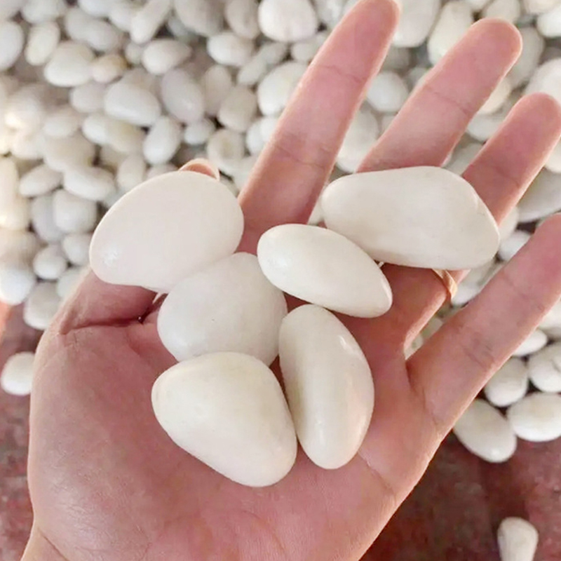 Natural White Polished River R - Aquarium Sand White review and price