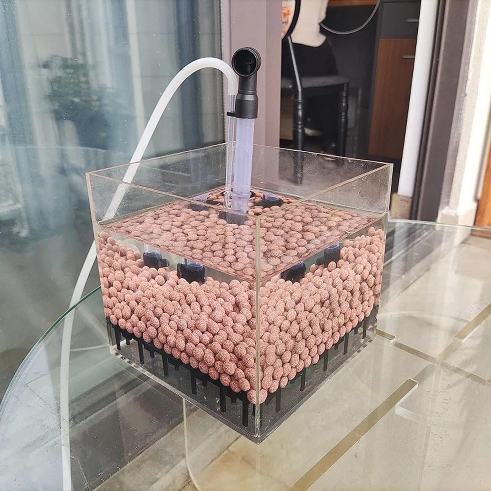 Aquarium Filter Box Square Tra - Planted Aquarium Undergravel Filter review and price
