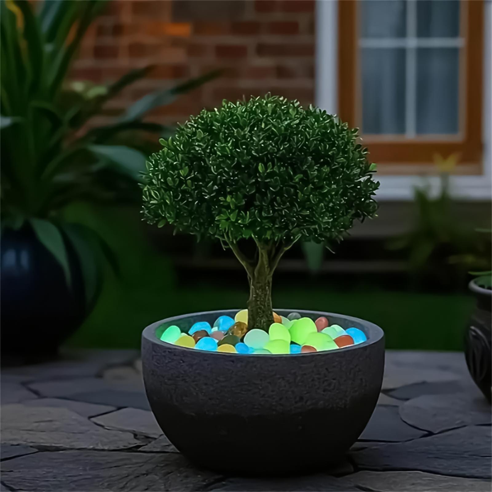 Landscaping Rocks 20 Pieces 1. - Planted Aquarium With Rocks review and price