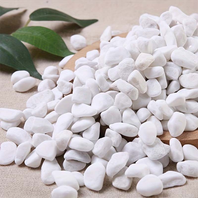 100/200G White Decorative Ston - Aquarium Sand White review and price