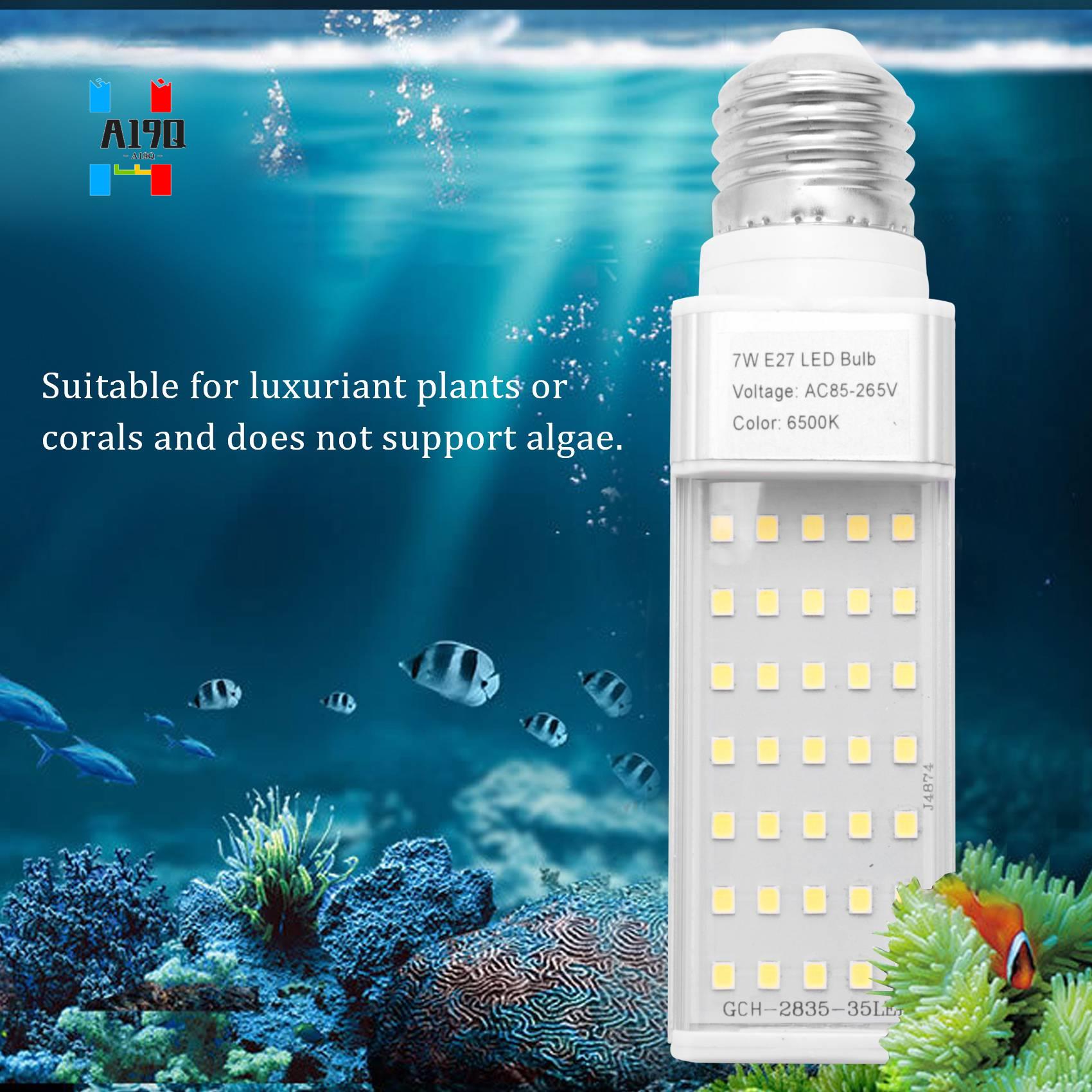 A19Q-Fishpod White Plant Aquar - Planted Aquarium Materials review and price