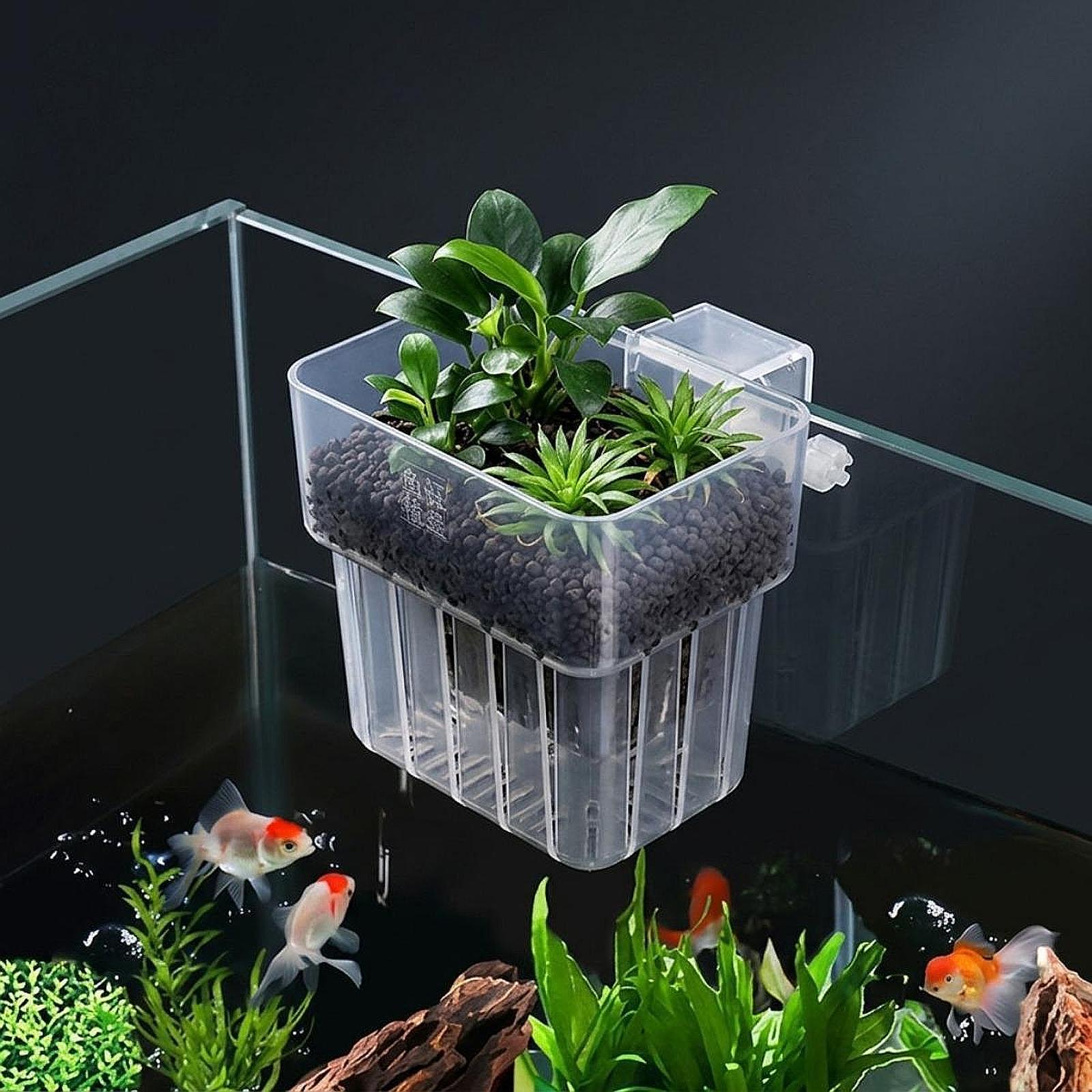 Aquarium Plant Holder Adjustab - Planted Aquarium Materials review and price
