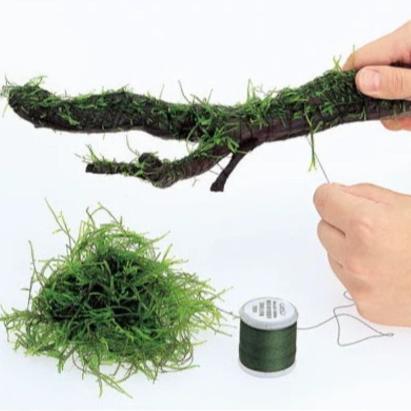 Biodegradable Aquarium Moss Th - Planted Aquarium With Rocks review and price