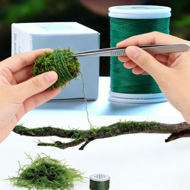 Biodegradable Aquarium Moss Th - Planted Aquarium With Rocks review and price