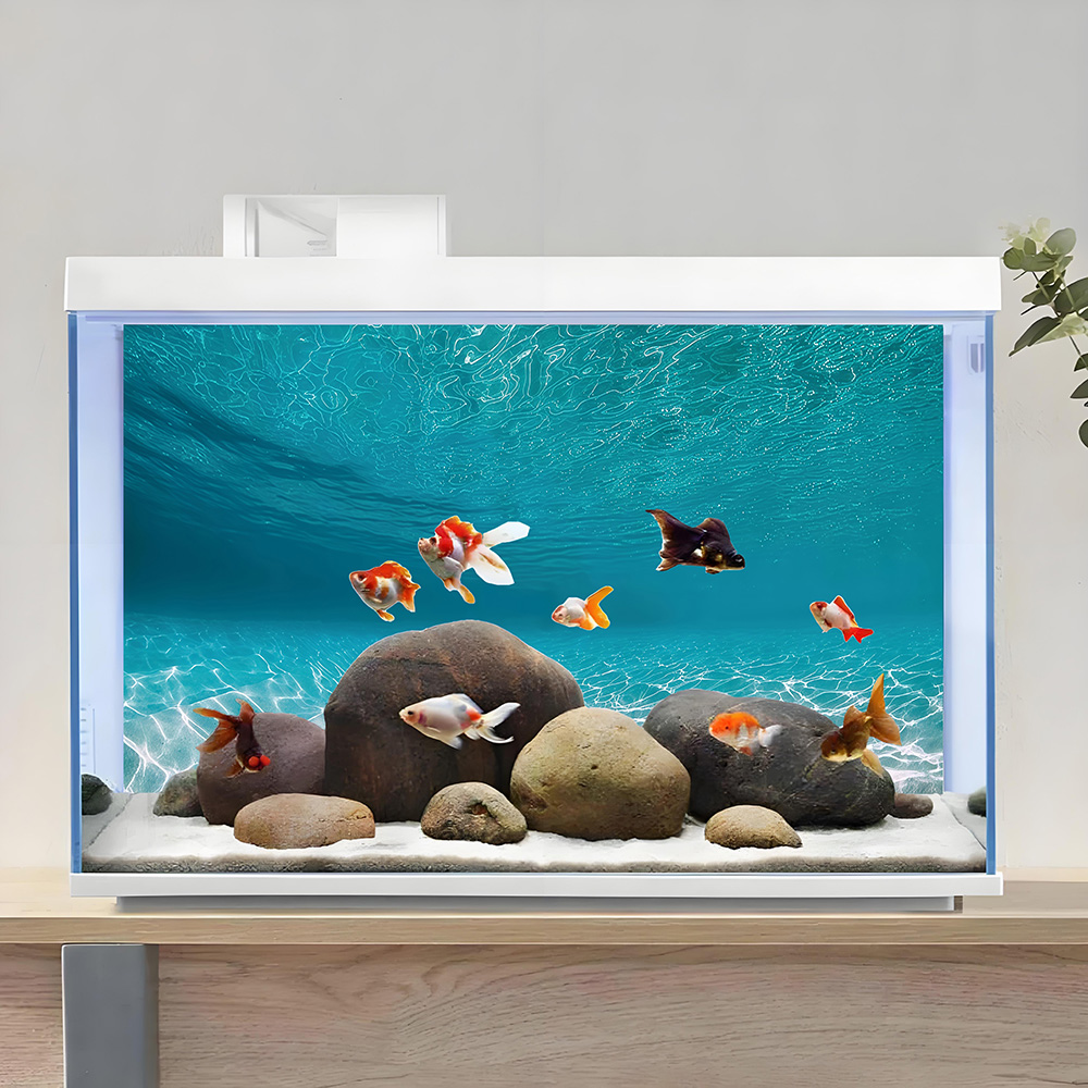 Sunshine white sand，Fish tank  - Aquarium Sand White review and price
