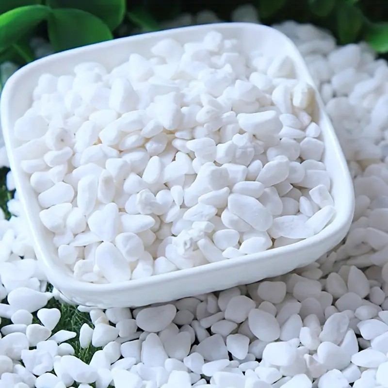 500g/1.1LB Decorative White Pe - Aquarium Sand White review and price