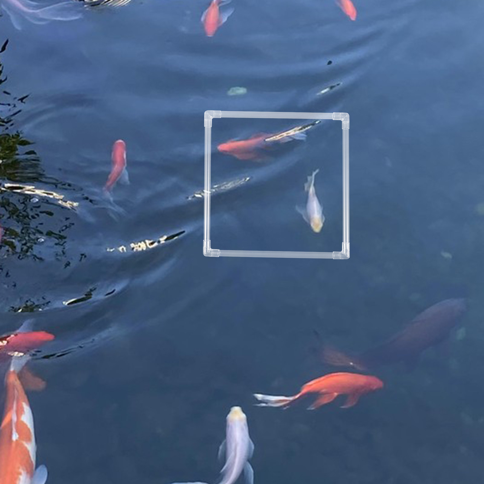 1Set Aquarium Floating Plant R - Planted Aquarium Materials review and price