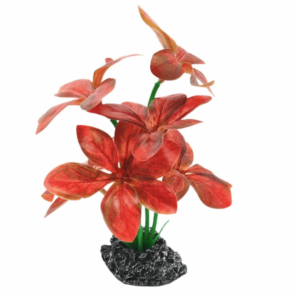 Plastic Material Aquarium Plan - Planted Aquarium Materials review and price