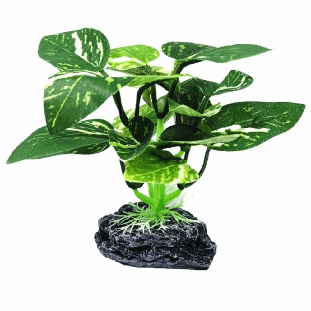 Plastic Material Aquarium Plan - Planted Aquarium Materials review and price