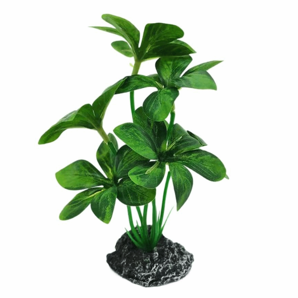 Plastic Material Aquarium Plan - Planted Aquarium Materials review and price