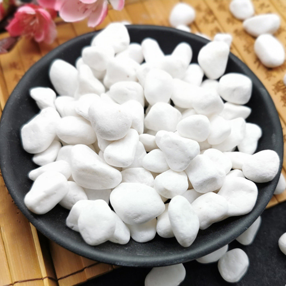 1Set Elegant White Decorative  - Planted Aquarium With Rocks review and price