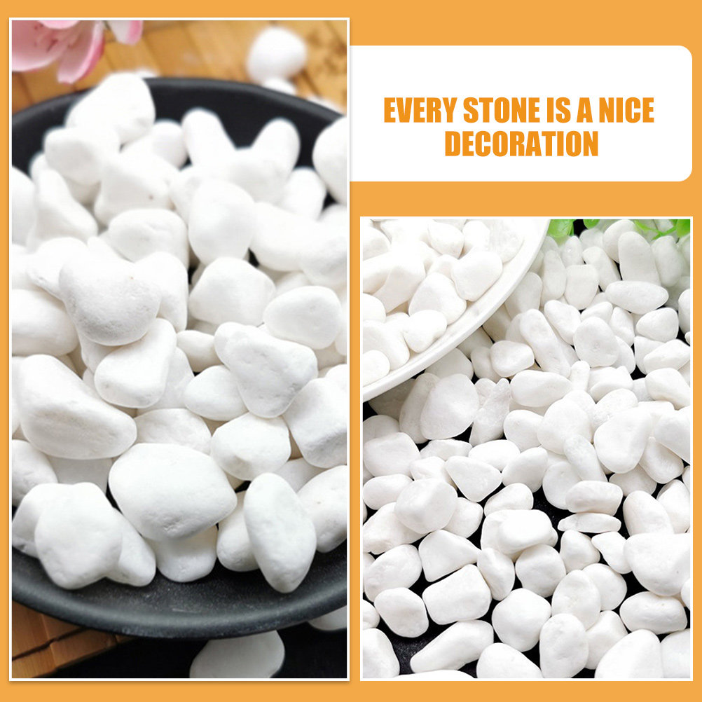 1Set Elegant White Decorative  - Planted Aquarium With Rocks review and price