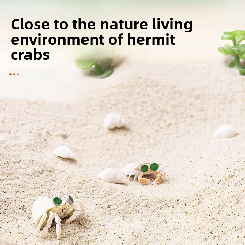 FKSC Hermit Crab Sand & Aquari - Aquarium Sand White review and price