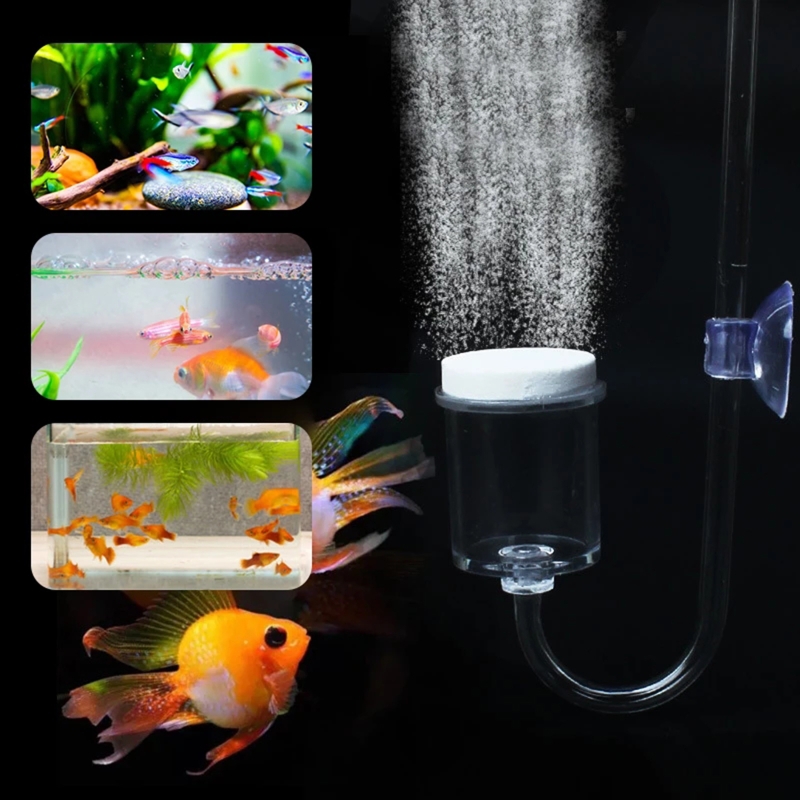 4pcs Set DIY CO2 Diffuser For  - Aquarium Plant Gel review and price